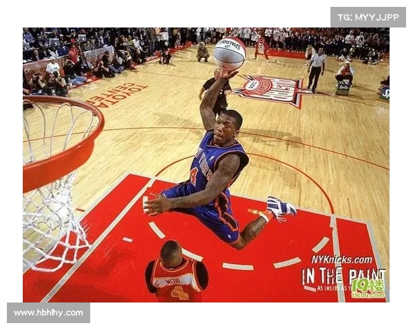 深入解析NBA球队粉丝文化：从忠诚到激情的全方位体验